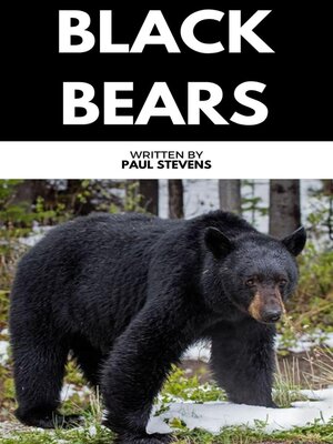 cover image of Black Bears